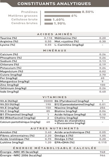 Yorkshire Terrier Adult